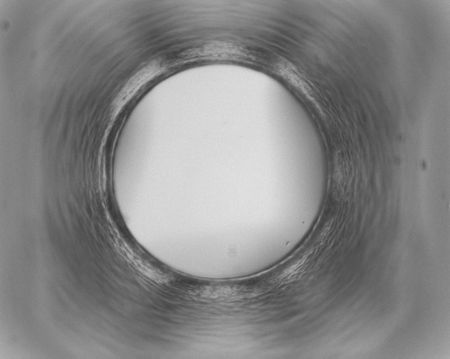 X0000059841082200511111738