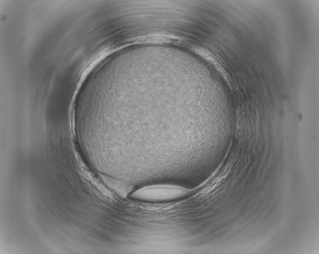 X0000059841083200511111738