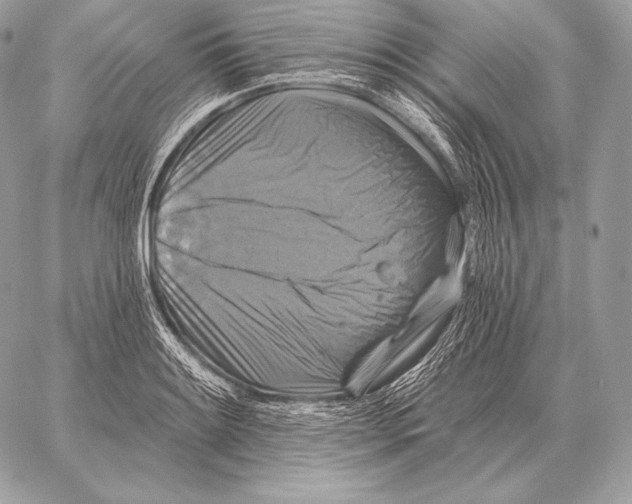 X0000059841084200511111738