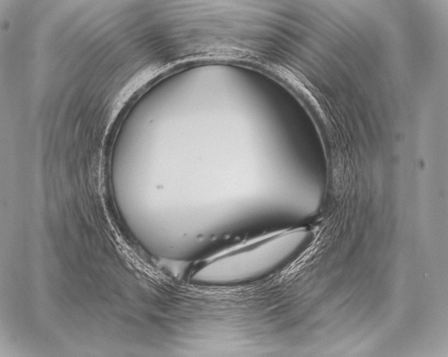 X0000059841085200511111738