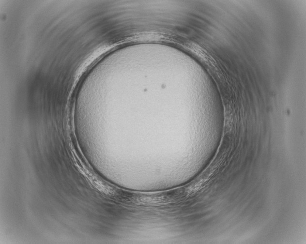 X0000059841086200511111738