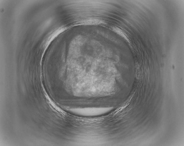 X0000059841087200511111738