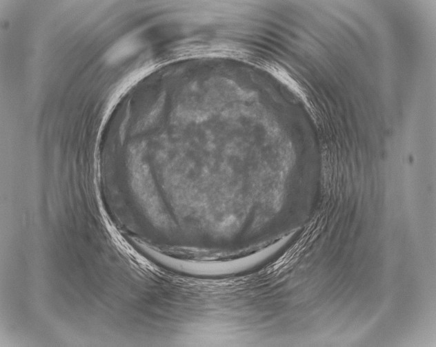 X0000059841088200511111738