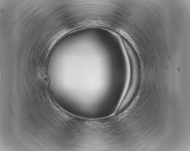 X0000059841089200511111738