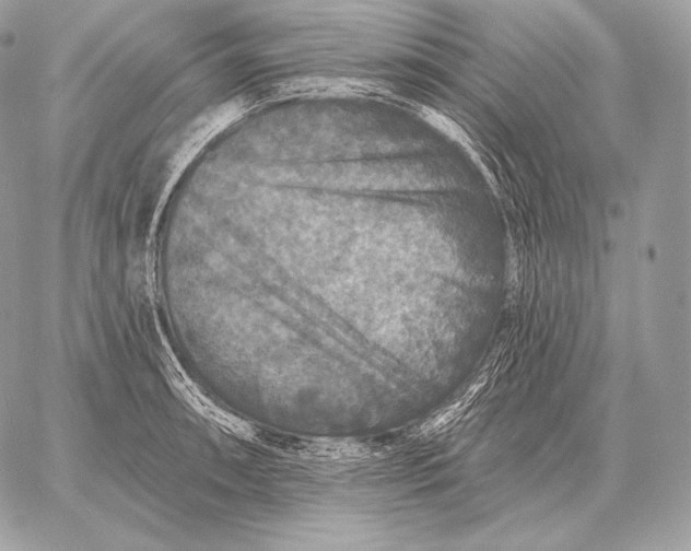 X0000059841090200511111738