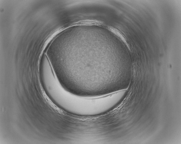 X0000059841091200511111738