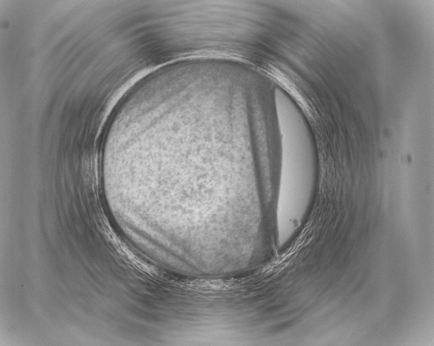 X0000059841092200511111738