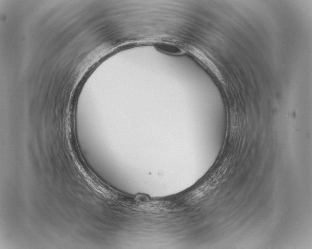 X0000059841093200511111738