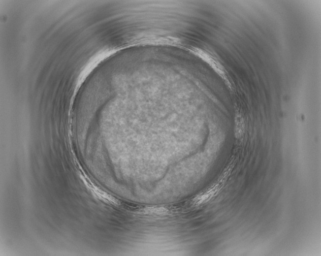 X0000059841094200511111738