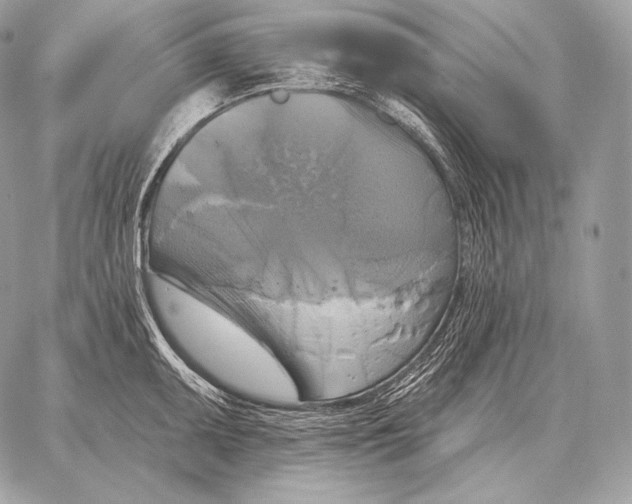 X0000059841095200511111738