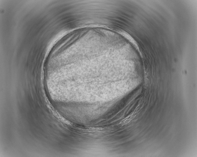 X0000059841096200511111738