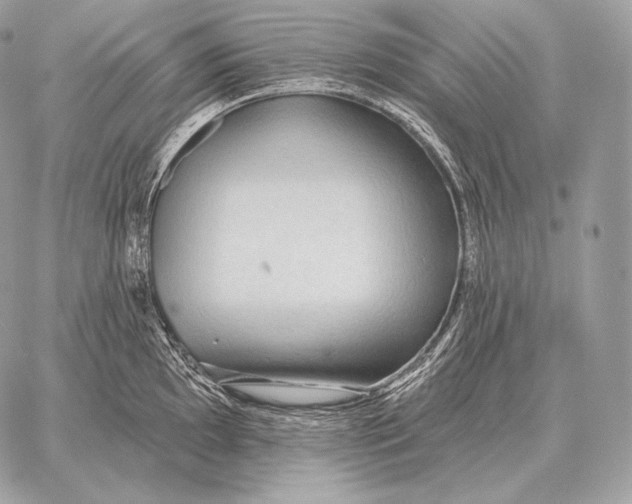 X0000059841097200511111738