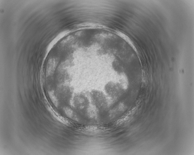 X0000059841098200511111738