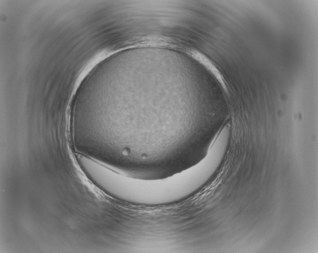 X0000059841099200511111738