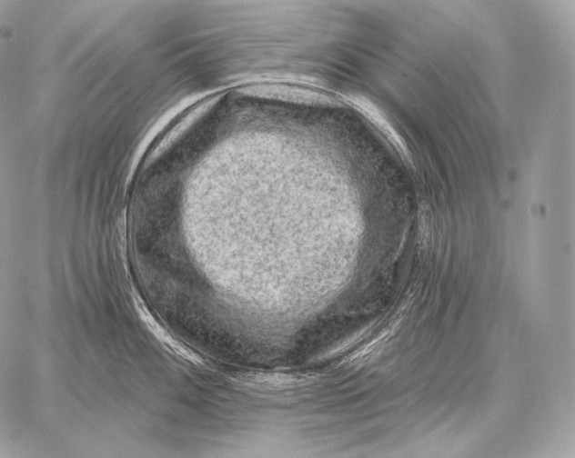 X0000059841100200511111738