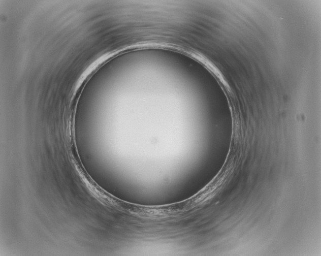 X0000059841101200511111738