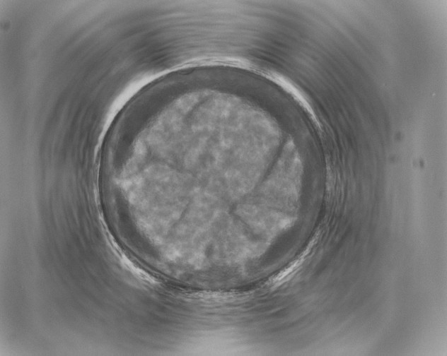 X0000059841102200511111738