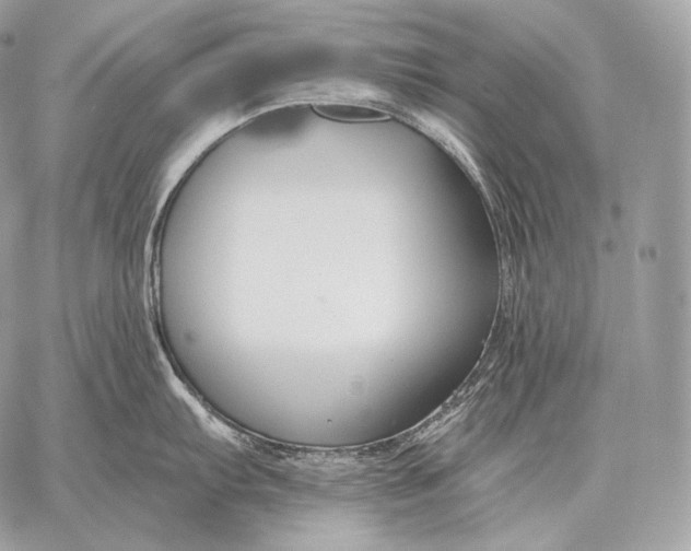 X0000059841103200511111738