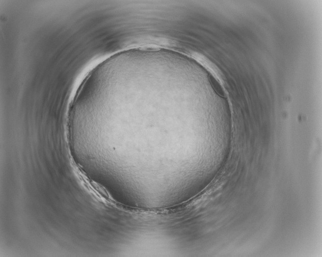 X0000059841104200511111738