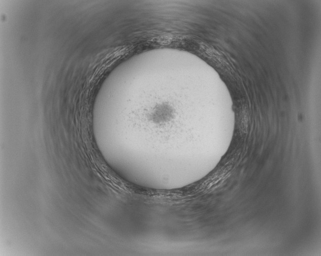 X0000059841105200511111737