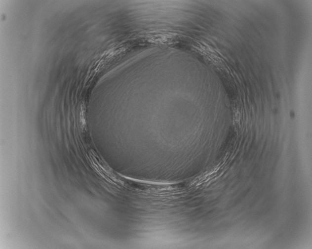 X0000059841106200511111737