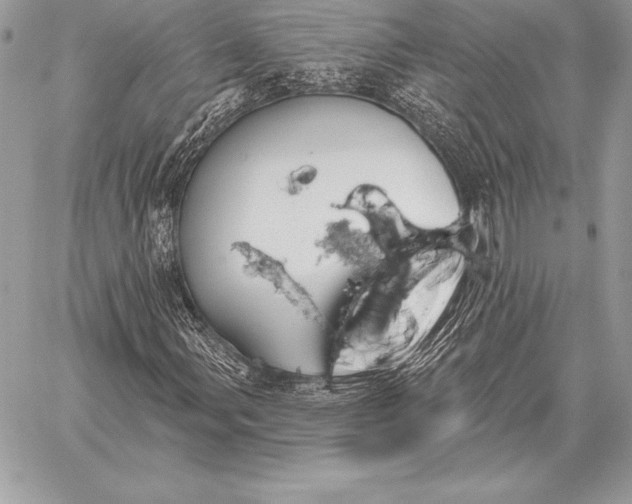 X0000059841107200511111737