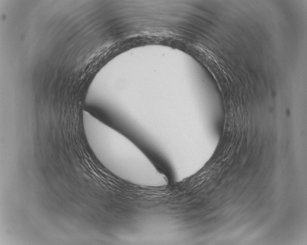 X0000059841110200511111737