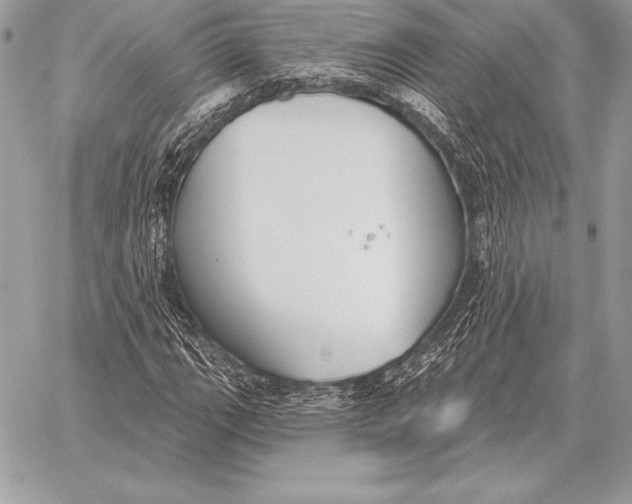 X0000059841111200511111737