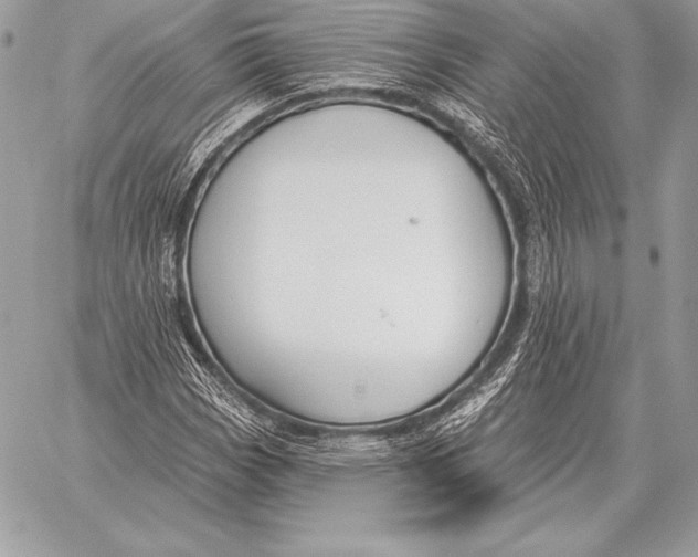 X0000059841113200511111737