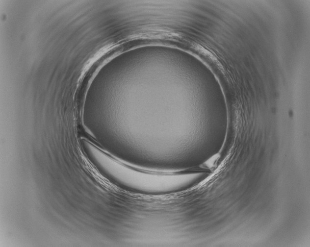 X0000059841114200511111737