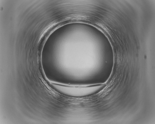 X0000059841115200511111737