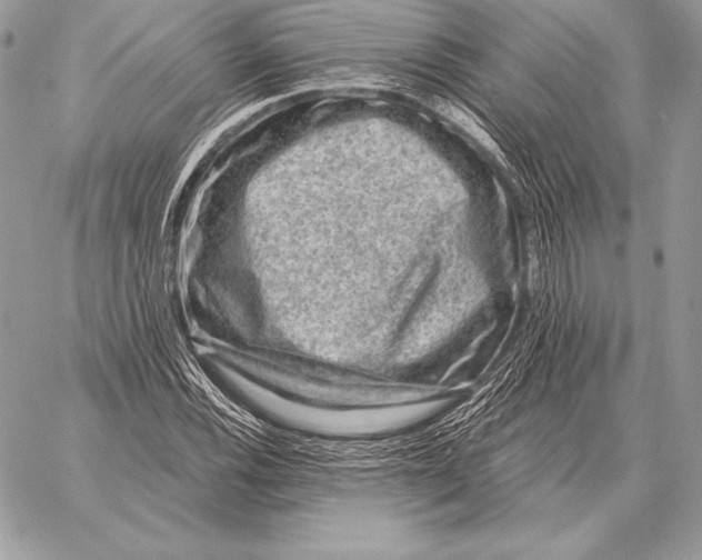 X0000059841116200511111737