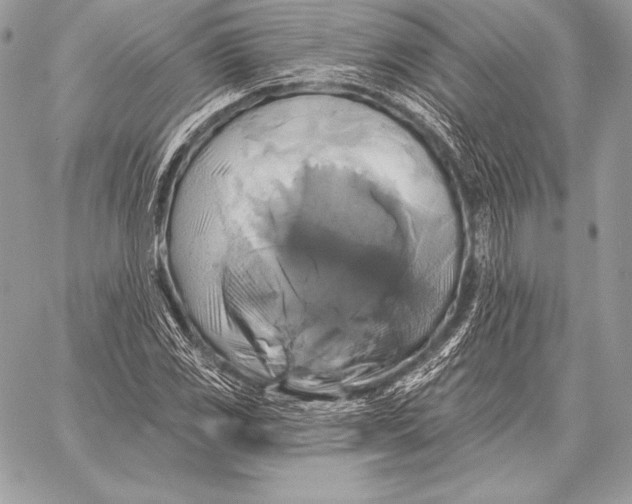 X0000059841117200511111737