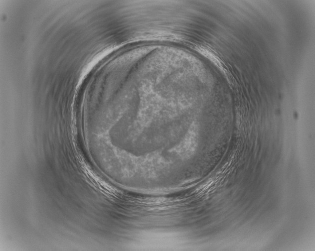 X0000059841120200511111737