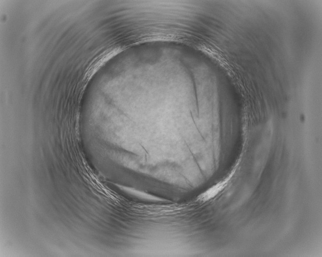 X0000059841121200511111737