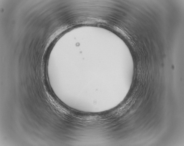 X0000059841122200511111737