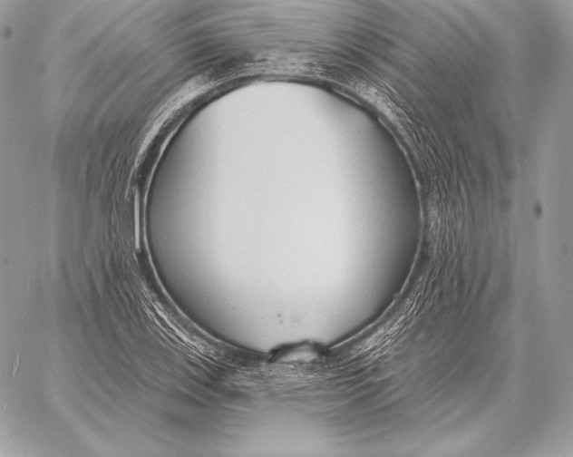 X0000059841123200511111738