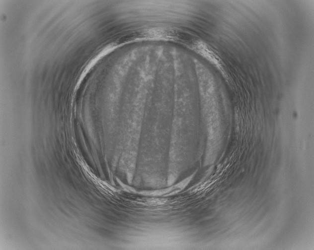 X0000059841124200511111738