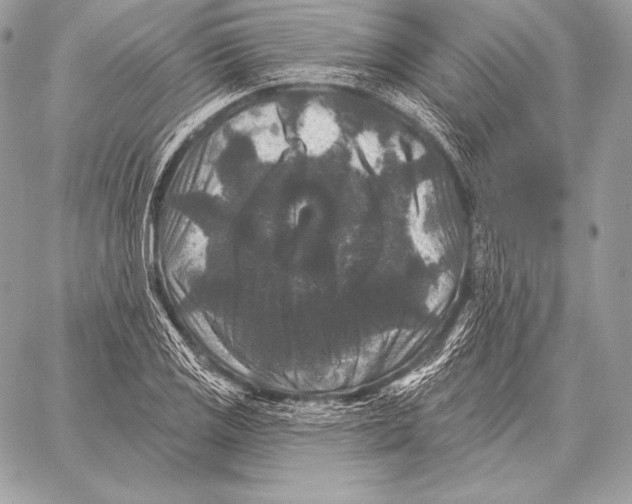 X0000059841125200511111738