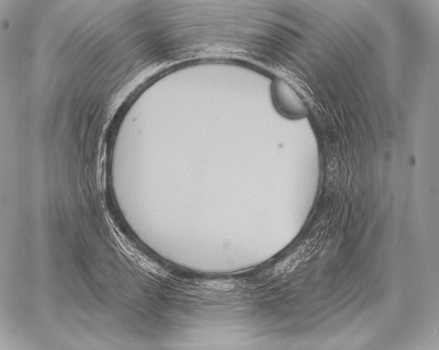 X0000059841126200511111738