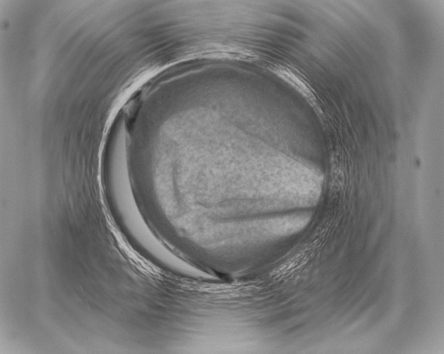 X0000059841128200511111738