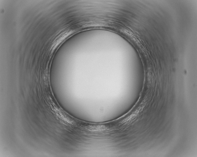 X0000059841129200511111738