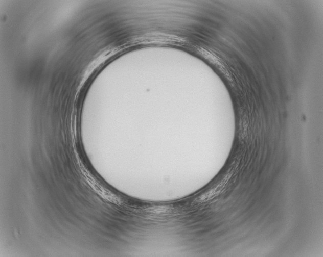 X0000059841130200511111738