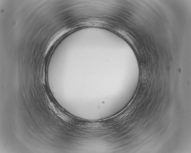 X0000059841131200511111738