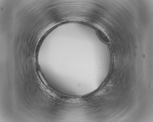 X0000059841133200511111738