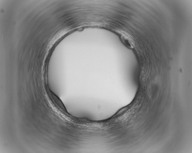 X0000059841135200511111738