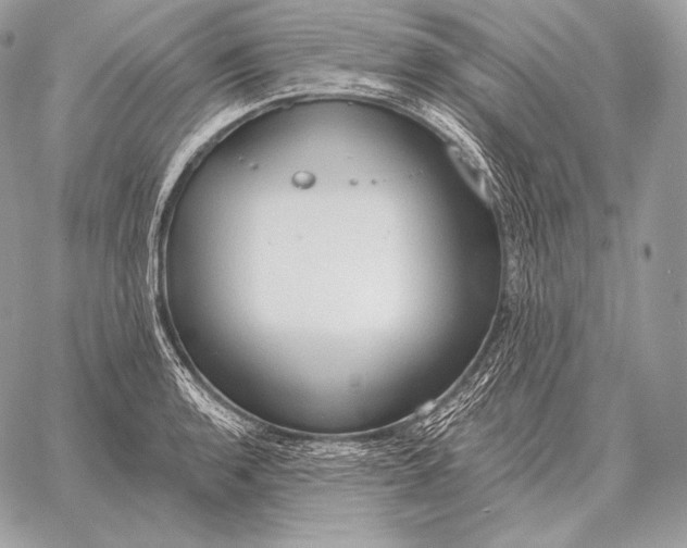 X0000059841136200511111738