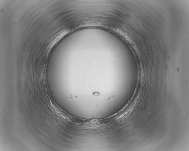 X0000059841137200511111738