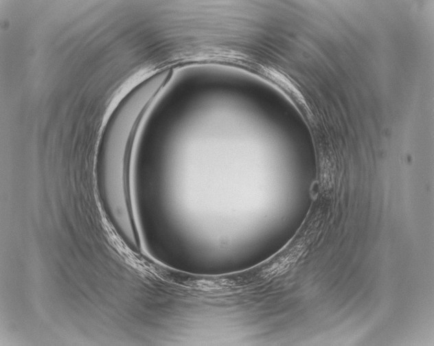 X0000059841138200511111738