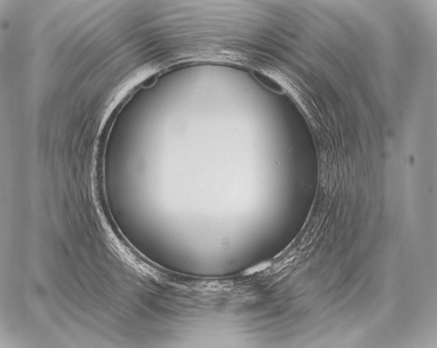 X0000059841139200511111738